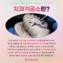 김포치과기공소 이미지