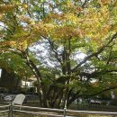 호평동 현대 I-PARK 이미지