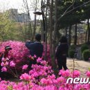 강서구-23 이미지