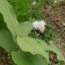 소수면사무소 이미지