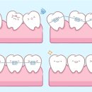 강치과의원 이미지