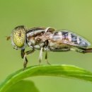 아침햇살 이미지