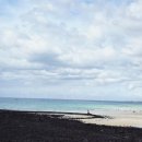 태광 카 | 9월 제주여행 1일차 ♡ 태광식당 ♡ 지금여기에 펜션