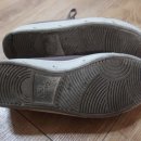 브라운스프링 이미지