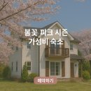 봄꽃 피크 시즌 가성비 숙소 정리