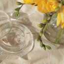 코니사진관 이미지