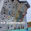 부주산국제클라이밍센터 | 경북 문경 아이랑 국제클라이밍센터 어린이체험 운영시간 가격