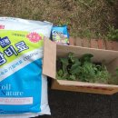김해현대약국 네이버블로그