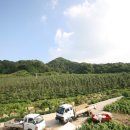 장구농장 이미지