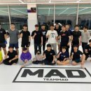 팀매드 양산 우슈산타 이미지