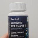뉴프로셀 네이버블로그