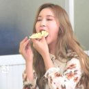 알지투어
