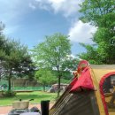 노르디스크 군산점 | 버팔로 리빙쉘 와이드빅돔과의 시간여행