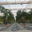 복실농장 이미지