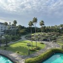 색달동-5 이미지