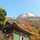 방문사