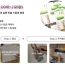 성성점플래뮤미술학원