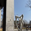 [서울/잠실] 소피텔 앰배서더 서울 럭셔리 레이크룸 투숙후기 - 객실, 수영장, 체인징룸 이용후기