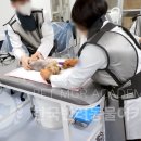 박동물병원 이미지