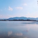 폰드(FOND) 이미지