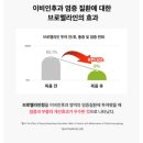 마이펫 | [마이펫닥터 기관지 영영제] 후기🌿