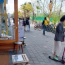 가락초등학교 | 송파구 가락초등학교 앞 영어어학원 홍보지 배포 :: 가락동 오프라인 홍보 아직도 고민하세요?