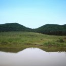 삼일목장 이미지