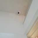 퍼피루시드 이미지