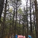 조강철책길 이미지