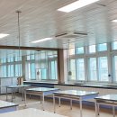 밀양초등학교 이미지