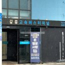 캡슐인강릉 | [강원도 강릉 여행] 즉흥 혼자 여행 오션뷰 게스트하우스 “캡슐인강릉”