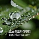 (주)케이엠케어 이미지