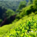 다이어트요가-C 이미지