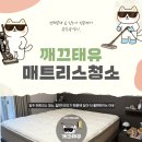 목련로273번안길 | [공지] 광주 매트리스 청소, 집먼지진드기 때문에 잠이 더 불편해지는 이유
