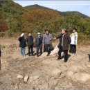 안국사지 이미지