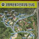 태백약초백숙 | [경기 양평] 백운봉 자연휴양림 가이드