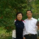 대화중학교 이미지