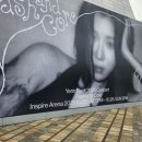 2025 문화광장콘서트 - 봄이 오는 소리 | 서투른 사랑일지라도 그대에게 닿을 수만 있다면 /2025 백예린 콘서트 Flash and Core 후기