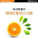 비타민 - 양산시 야리1길 17 | 비타민
