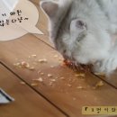 오봉이네