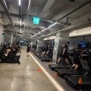 캡틴짐 | 캡틴짐 마산양덕점 한 달 헬스 체험 후기