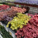 대림가든 이미지