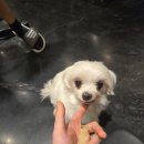 더핏짐PT 이미지