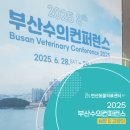산수동물병원 네이버블로그