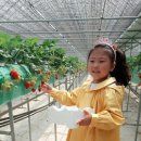 예서농장 네이버블로그