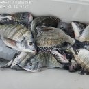 땅끝호