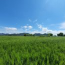 강나루 휴게소 이미지