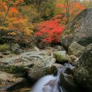 10/22(화)지리산 피아골 단풍 연곡사 트레킹(구례)출발06시20분 이미지