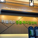 티플러스동물메디컬센터 이미지