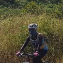 조곡약수터 이미지